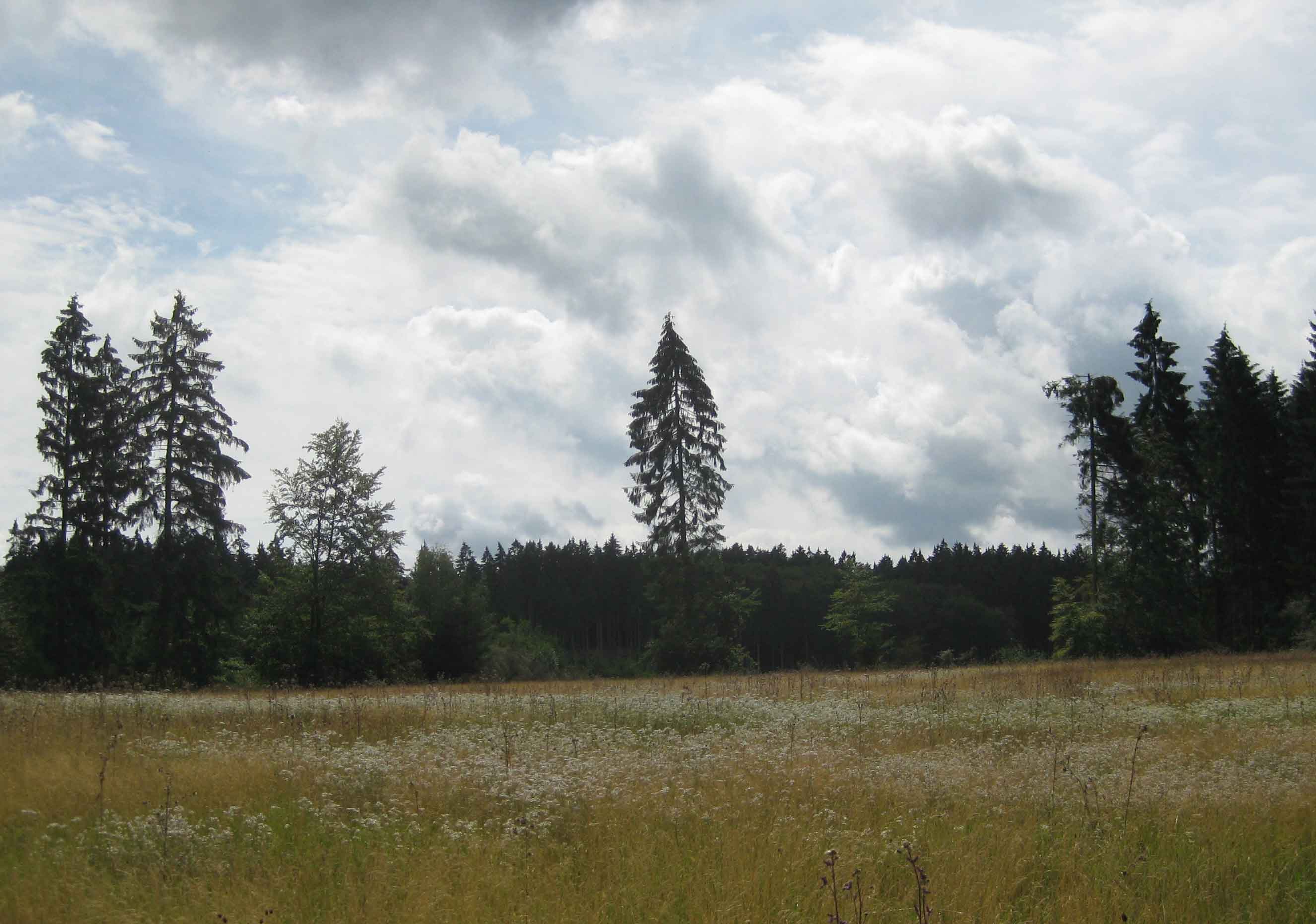 Steinbachtalsperre Euskirchen Parkplatz - Wandern Von Bad Munstereifel Zur Steinbachtalsperre ...